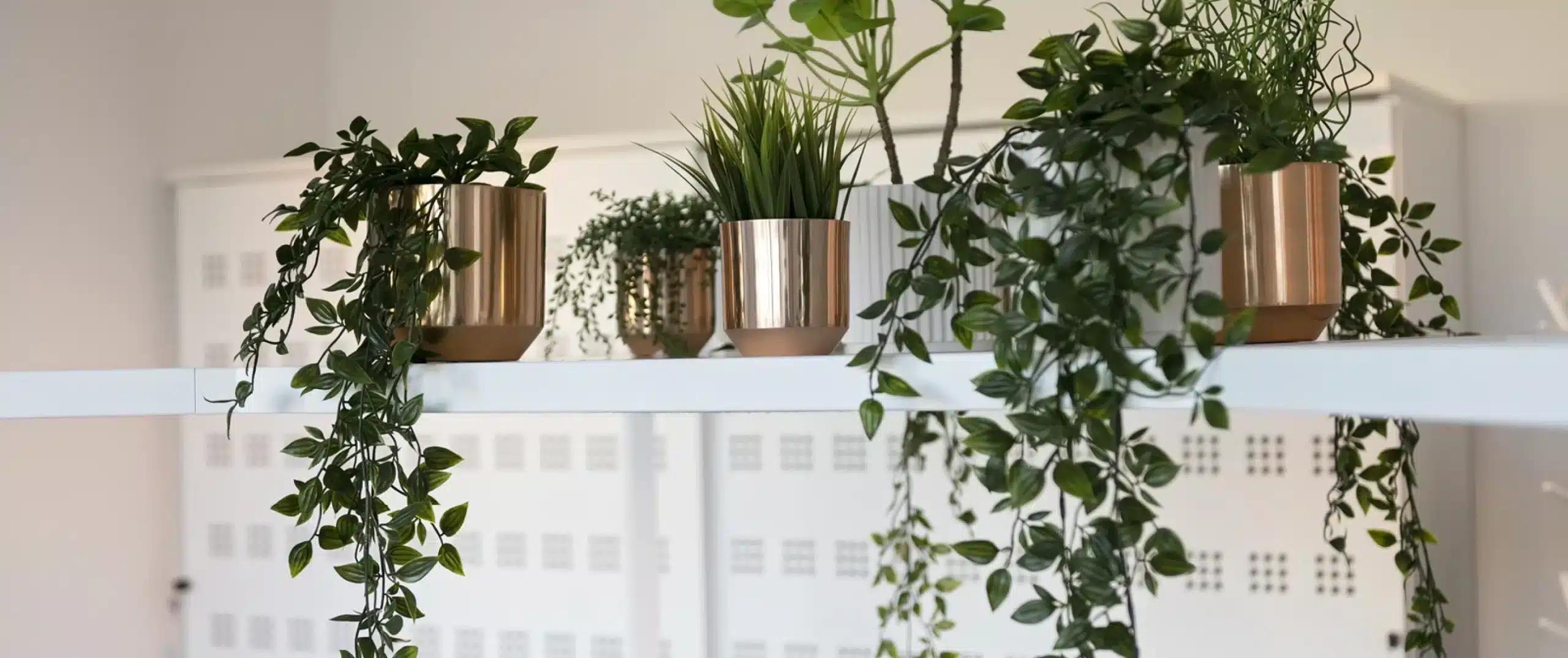 Duurzaamheid op kantoor: hoe begin je eraan?