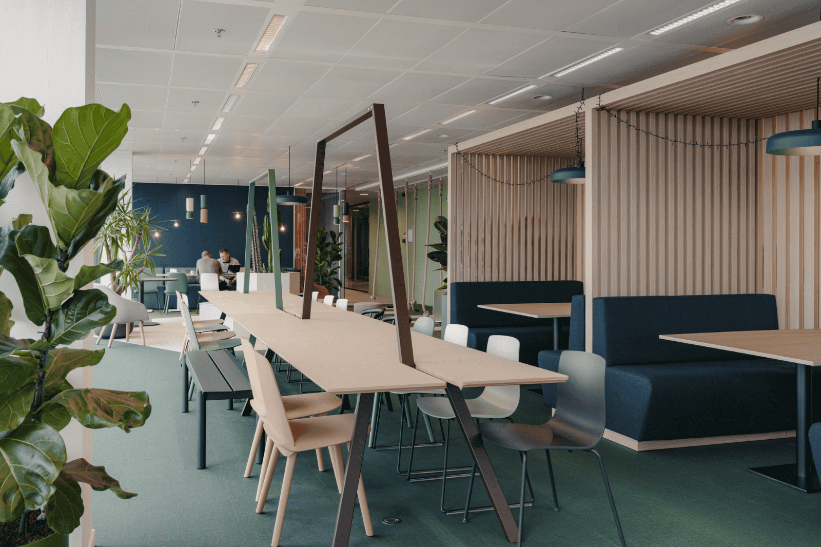 Open kantoorruimte met planten, licht hout en speelse zitzones