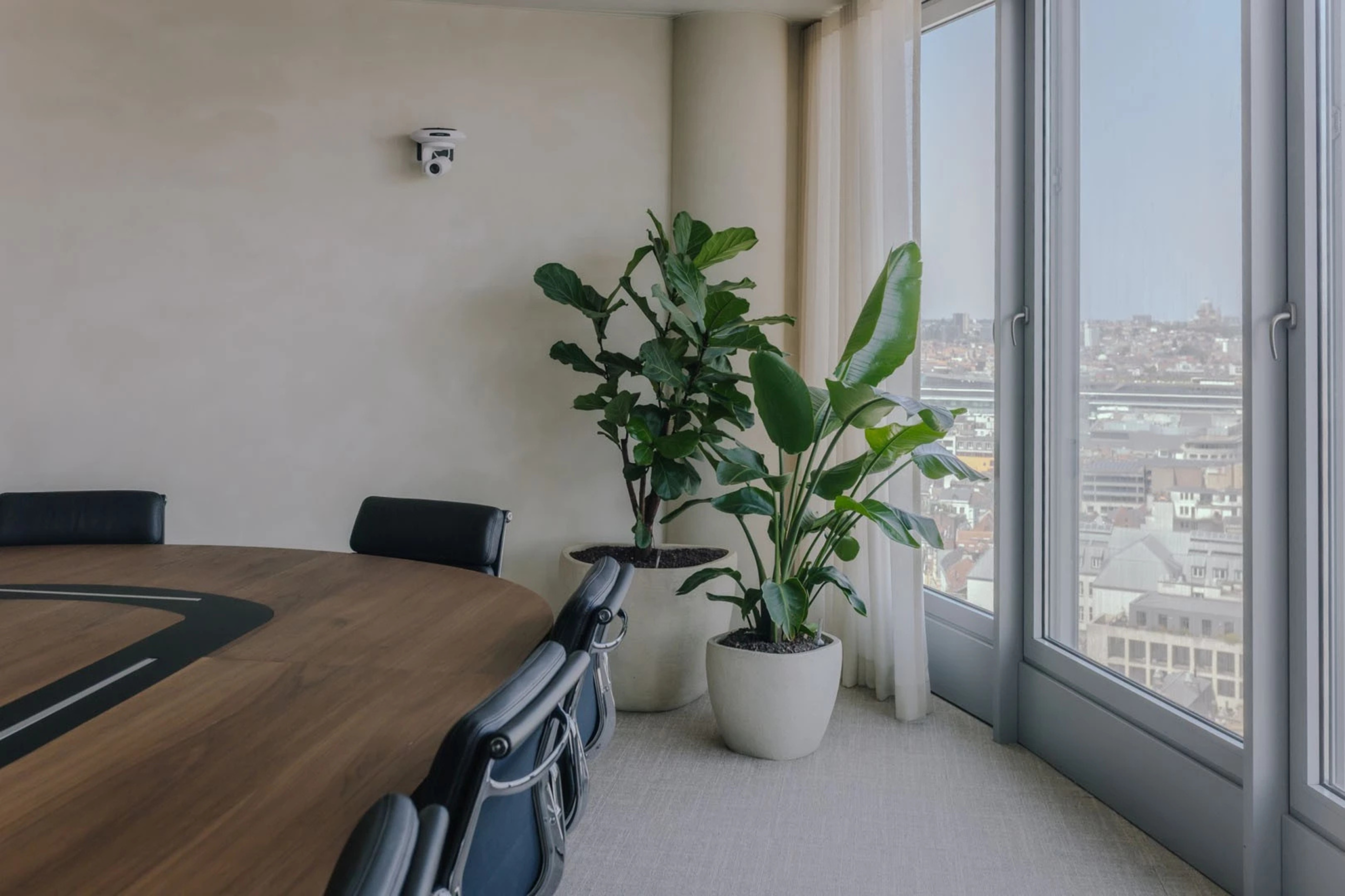 Vergaderhoek in een advocatenkantoor met veel daglicht en planten voor een rustige, betrouwbare sfeer