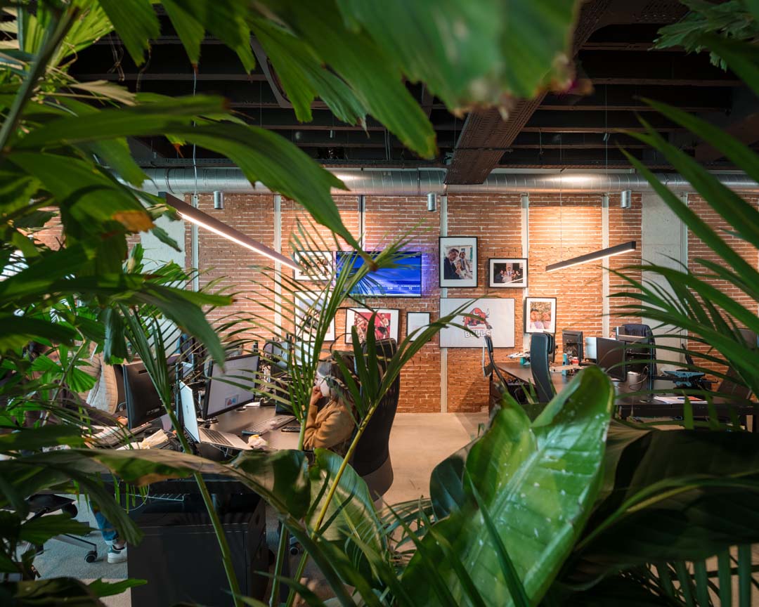 Open kantoorruimte met veel planten en werkplekken die zorgen voor een aangename en inspirerende werksfeer